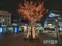 성북구 정릉2동, 새해소망 담아 교통광장 희망나무 점등