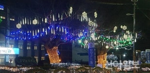 함양군청 일대 여전히 크리스마스 트리로 ‘불야성’
