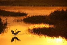 서산시, 천수만 철새도래지 국제생태관광 중심 거점으로 조성
