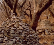 대전무형문화재 제5호 장동산디마을탑제