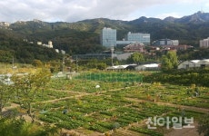 관악구, 23일부터 친환경 도시텃밭 6곳 분양신청