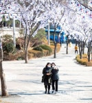 용산구, 3·1절 기념 만세운동 태극기 거리 조성