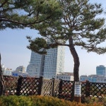 대전시, 미래 성장 이끌 지역스타기업 모집
