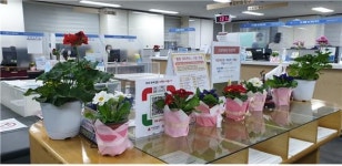 양천구 신정2동, 꽃 소비 촉진위해 민원실에 화분 배치