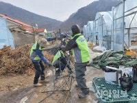 농협은행 대손보전기금부, 농촌일손돕기 봉사