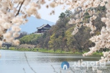 밀양 아리랑 둘레길, 힐링 명소 부각