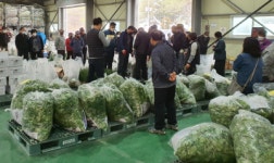 산청군농협 간이공판장 인기몰이