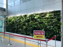 대전시, 2050년까지 생활밀착형 도시숲 1000개소 조성