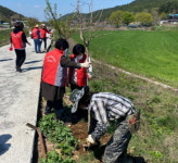 진주 판문동, 판문천 산책로 명품꽃길 만들기 행사 개최