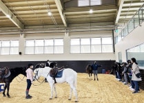 상주 국제승마장관리사업소, 무료 학생 승마체험