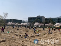 도봉구, 2021년 쌍문동 친환경 나눔텃밭 10일 개장