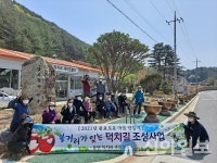 홍천군 동면, 덕치길 사과나무 가로수길 조성