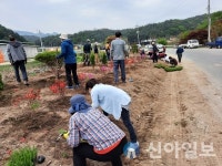 홍천군 남면, 신대2리 풍요로운 마을 만들기 사업 추진
