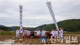 홍천 겨리농경문화, 홍천군 최초 강원도 무형문화재 지정 쾌거