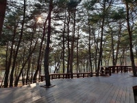 구례군, 지리산정원 소나무숲에 힐링쉼터 조성