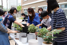 세종시 대평초, 예술감수성 향상 공기정화식물 심기 활동 운영