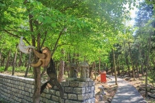 구례 지리산정원‧수목원 핫플레이스… 비대면 휴양지로 각광