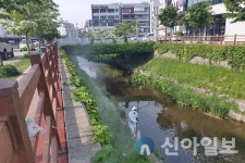 서산시, 하절기 위생해충 방역 10일부터 본격 추진