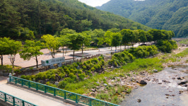 오토 캠핑 명소 단양 캠핑장 코로나19 속 주목