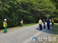 진해구, 9월까지 드림로드 환경정비사업 추진