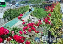 관악구, 힐링･치유의 청정 도시로 거듭난다