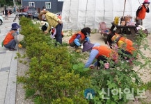 포항 두호동 통장협의회 ‘두호가든’ 환경정비 활동