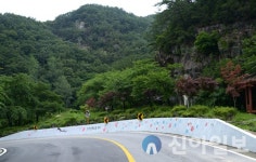 철원 삼부연 폭포 산책로 벽화 ‘눈길’