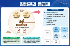 방역 우수농가 예방적 살처분 제외…산란계농장 우선 적용
