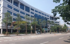 계양구청 앞 소나무 식재후 인도 불볕더위로 몸살