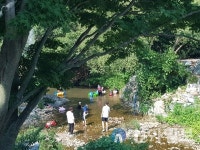 서산 용현계곡서 물놀이 즐기는 가족 피서객