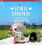 티웨이항공, 날개를 달아줘요 시즌2 실시…반려동물 트래블키트 증정