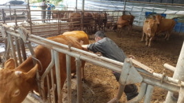 의령군, 2021년 가축무료 순회진료 실시