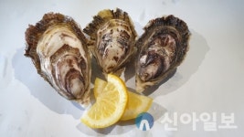 신안1004굴 신세계백화점 첫 납품