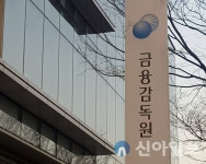 금감원, '감사인 지정제도 관련 온라인 설명회' 개최