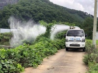 영천시, 농림지 돌발해충 긴급공동방제
