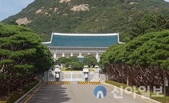 靑, 김여정 문대통령 비난 담화에 