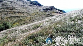 창녕 화왕산에서 ‘산행도 즐기고 억새 감상’하며 힐링 하세요