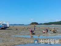 서산, 가로림만 갯벌서 해루질하던 40대 여성 숨진채 발견