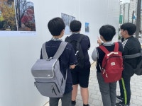 송파구, 방이2동 우리 동네 길거리 사진전 개최