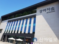 전국최초 강아지숲 박물관, 2021 도그페스타 3일까지 개최