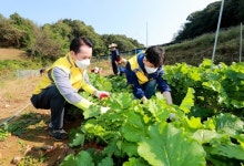 대전시의회 의원·직원 ‘무수천하마을 영농지원’ 자원봉사 실시