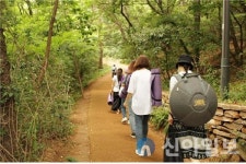양천구, 산림치유 프로그램 숲여행기 운영