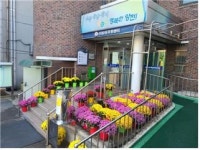 서울 양천구 신정2동, 국화꽃이 피었습니다