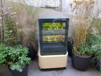 [르포] LG틔운은 손쉽게 가꿀 수 있는 나만의 허브농장