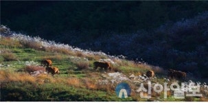 홍천군, 제26회 홍천관광사진공모전 수상작 선정
