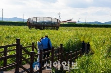 [기획] 충남관광 100선 서천군 편... ‘추억 소환 여행’