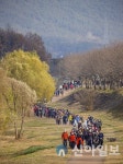 구례군, 공설운동장~광의교 군민 걷기행사