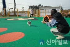 태안군, 로컬푸드 직매장 반려동물 놀이터 인기