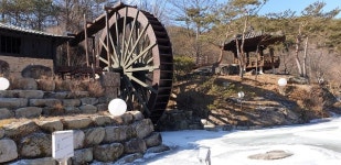 [포토] 동장군에 멈춘 함양 대형 물레방아
