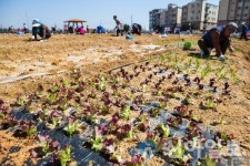 계양구, 실버농장 분양 대상자 모집